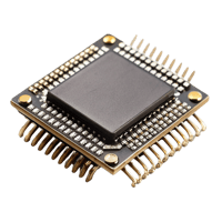 Integrated Circuits (ICs)